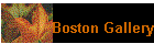 Boston Gallery