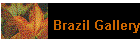Brazil Gallery