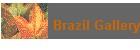 Brazil Gallery
