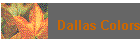 Dallas Colors