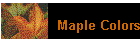 Maple Colors