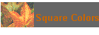 Square Colors